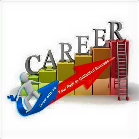 Career